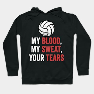 Volleyball Gift My Blood My Sweat Your Tears Hoodie